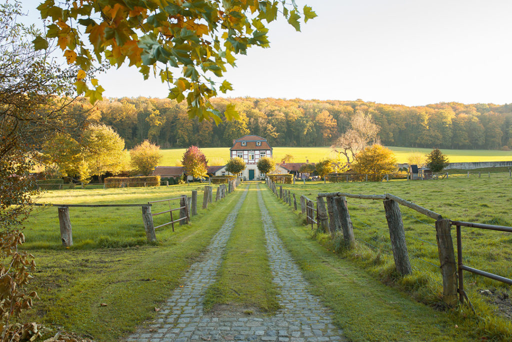 Jo Worthington photographer Germany travel photography