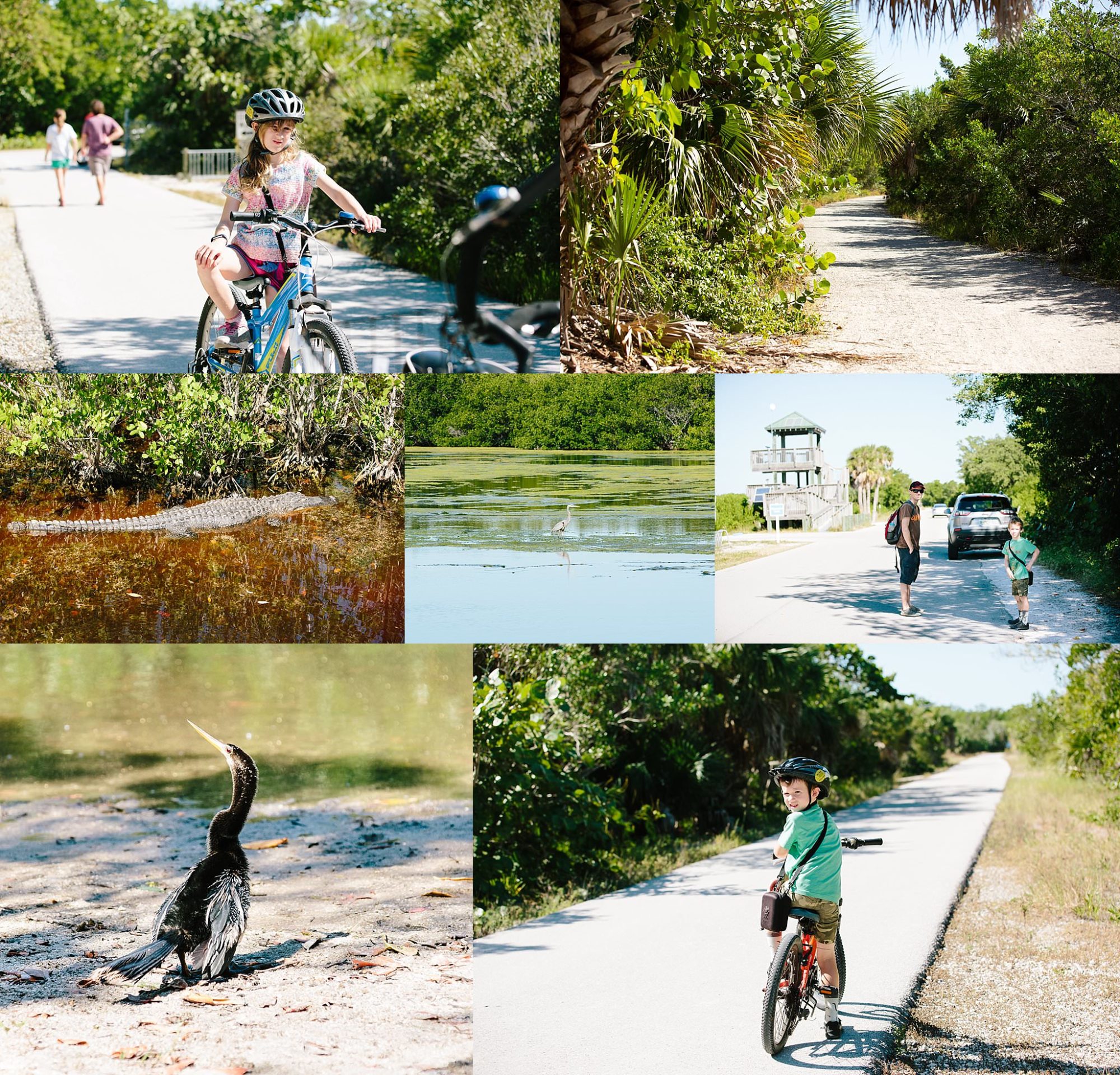 Ding Darling Wildlife Refuge Sanibel Island Florida