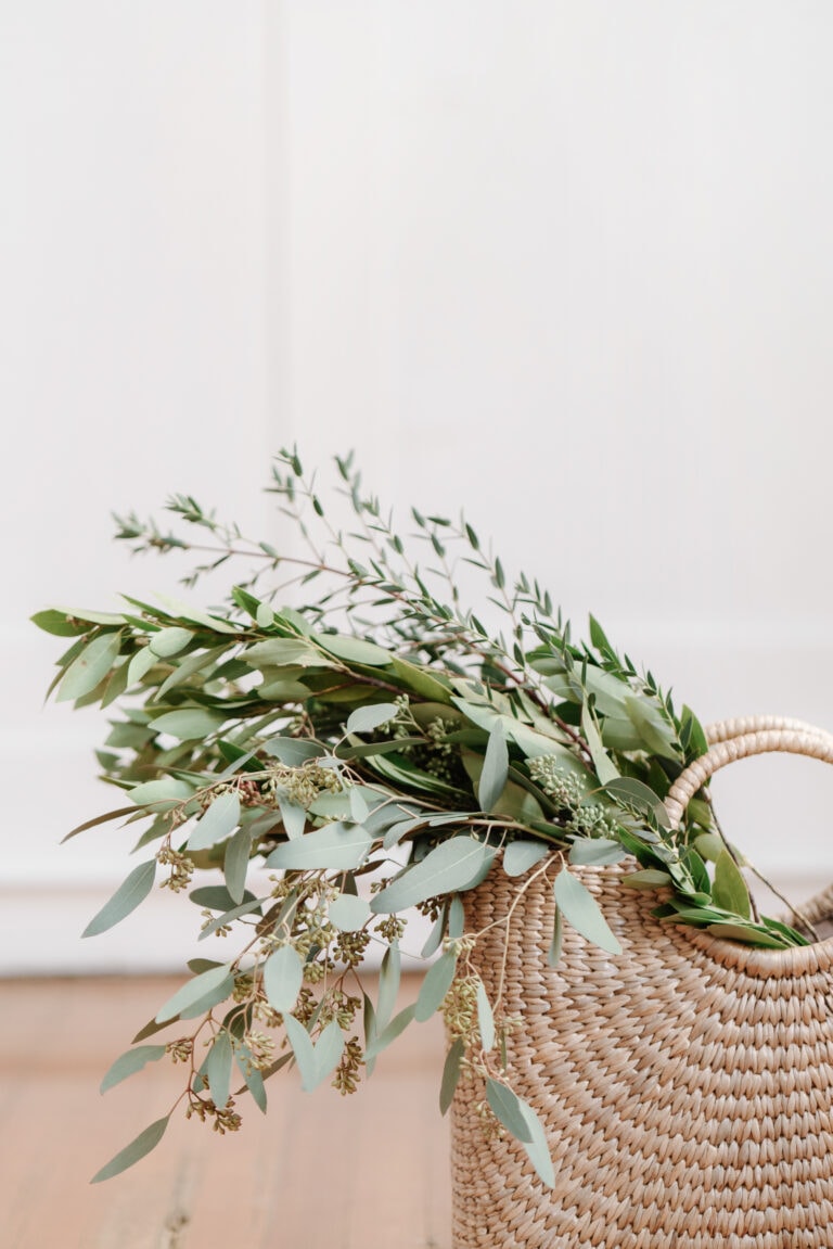 Beautiful green eucalyptus leaves in a woven basket, perfect for interior decor or floral arrangements.